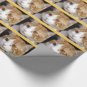 kat cadeaupapier (Hoek)