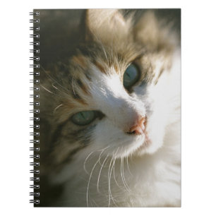 Kat Calico Tiger Notitieboek