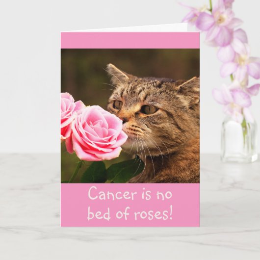 Kat Cancer Wisdom Kaart (Orchidee)