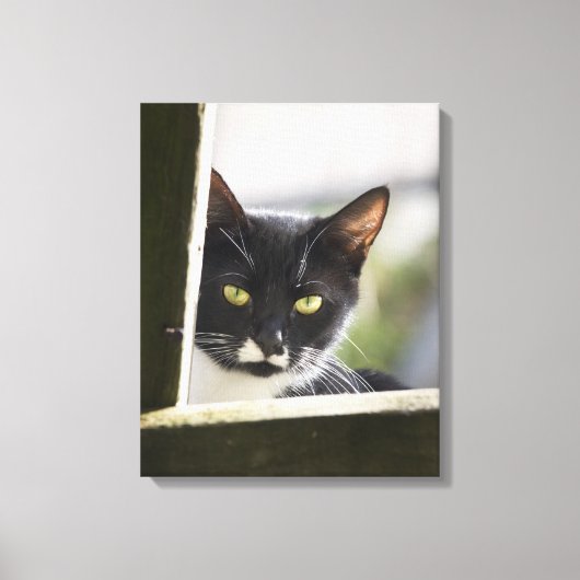 Kat Canvas Afdruk (Voorkant)