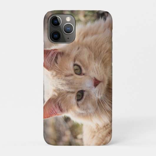 Kat Case-Mate iPhone Case (Achterkant)