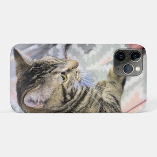 Kat iPhone 11 Pro Hoesje
