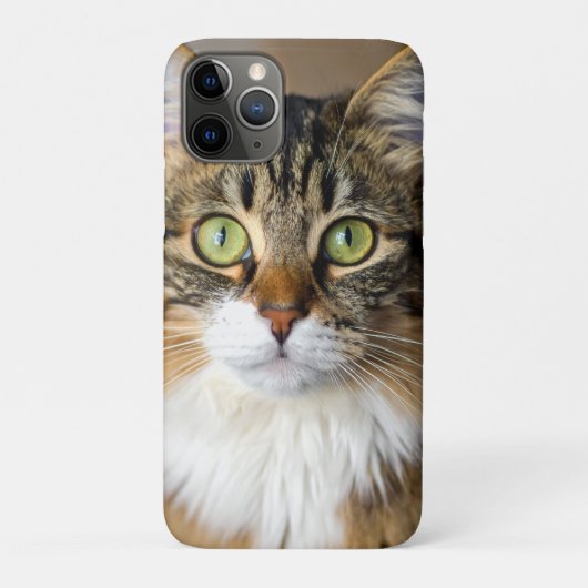 Kat Case-Mate iPhone Case (Achterkant)