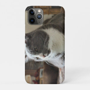 Kat iPhone 11 Pro Hoesje