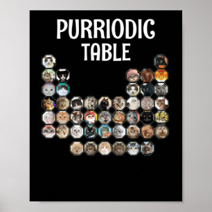 Kat Chemistry Pun Periodic Table Purriodia Poster