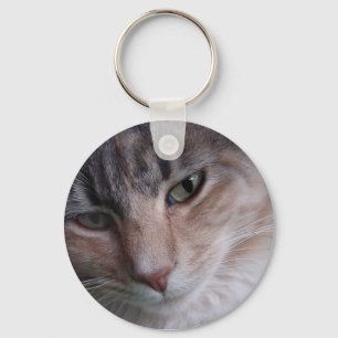 Kat close-up sleutelhanger