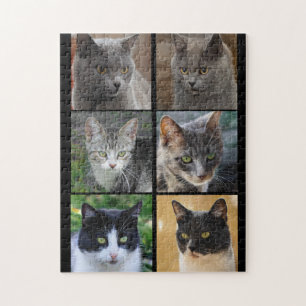 Kat collage kat stemt voor zwarte grijze tabby legpuzzel