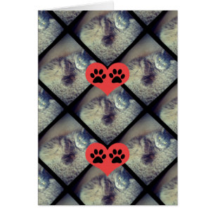 Kat Collage met PawPrints van Shirley Taylor