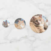 Kat Confetti (Voorkanten)