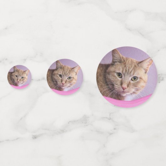 Kat Confetti (Achterkanten)