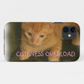 Kat "CUTENESS OVERLOAD" iPhone 5 Hoesje (Achterkant (horizontaal))