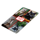 kat dag  magneet (Linkerzijde)