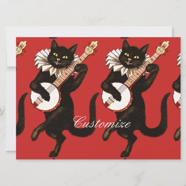 Kat dat Banjo Thunder_Cove speelt (Voorkant)