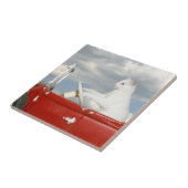 Kat dat een auto bestuurt tegeltje (Zijkant)