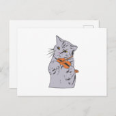 Kat dat het viool speelt - kies achtergrondkleur briefkaart (Voorkant / Achterkant)