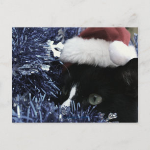 Kat dat klaar is om achter blauwe tinsel te spring briefkaart