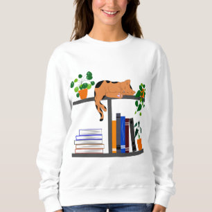 Kat dat op een boekenplank ligt, een kat boek en e trui