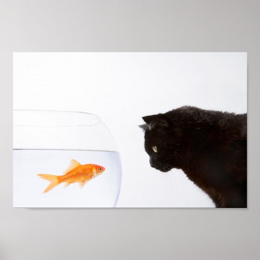 Kat dat op goudvis wordt gedrukt poster (Voorkant)