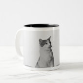 Kat dat op witte schaal naast een tapijtschuit zit tweekleurige koffiemok (Voorkant links)