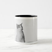 Kat dat op witte schaal naast een tapijtschuit zit tweekleurige koffiemok (Center)