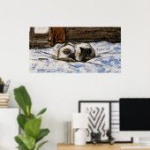 Kat dat slaapt op een bed poster (Thuiskantoor)