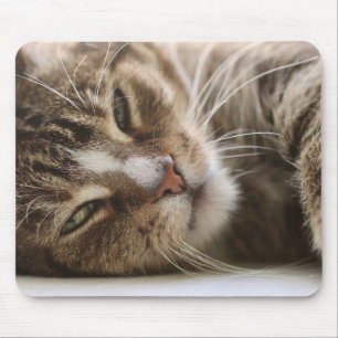 Kat, de kater, het kattenoog muismat