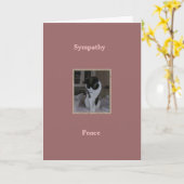 Kat, de Sympathie van het Huisdier, Vrede Kaart (Gele Bloem)