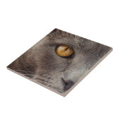 Kat Decoratieve tegel sluiten Tegeltje (Zijkant)