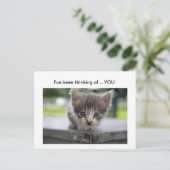 kat denkt aan jou briefkaart (Staand voorkant)