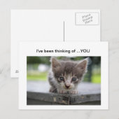 kat denkt aan jou briefkaart (Voorkant / Achterkant)