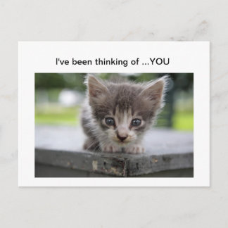 kat denkt aan jou briefkaart