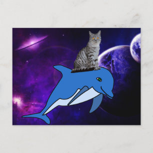 KAT DIE EEN DOLPHIN IN RUIMTEBRIEFKAART RICHT BRIEFKAART