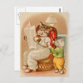 kat die het Briefkaart van de krant leest (Voorkant / Achterkant)