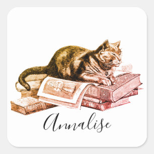Kat die op een stapel boeken ligt vierkante sticker