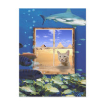 Kat die vis onder het Zee bekijkt