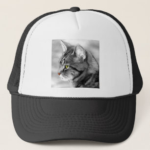 Kat Dieren Pet Portret Fur Sweetie Whiskers