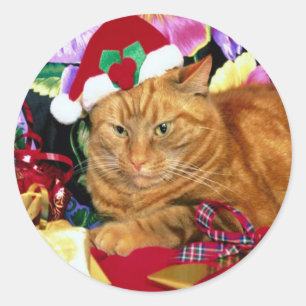 Kat Dragen Sinterklaas Pet - Sticker