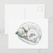 Kat Dremen Briefkaart (Voorkant / Achterkant)