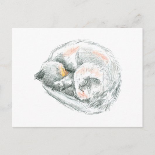 Kat Dremen Briefkaart (Voorkant)