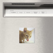 Kat drink melk magneet (Insitu (Vaatwasser))