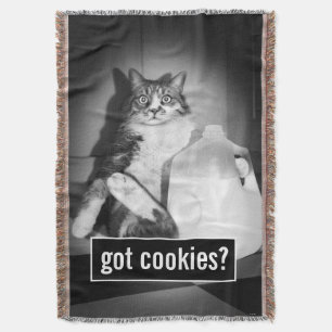 Kat Drink melk van Jug Deken