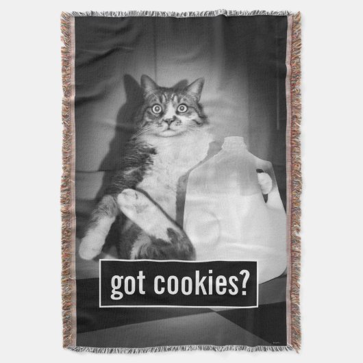 Kat Drink melk van Jug Deken (Voorkant Verticaal)