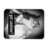 Kat Drink melk van Jug Magneet (Horizontaal)