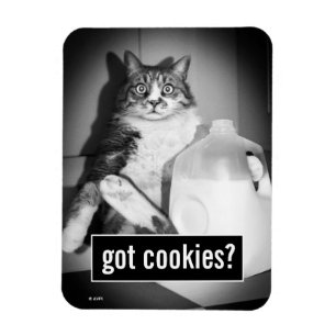 Kat Drink melk van Jug Magneet