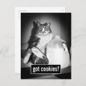 Kat Drink melk van Jug Uitnodiging Briefkaart (Voorkant / Achterkant)