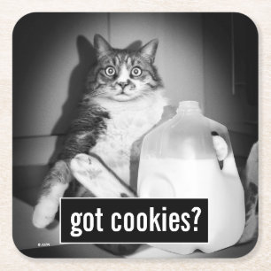 Kat Drink melk van Jug Vierkante Kartonnen Onderzetter
