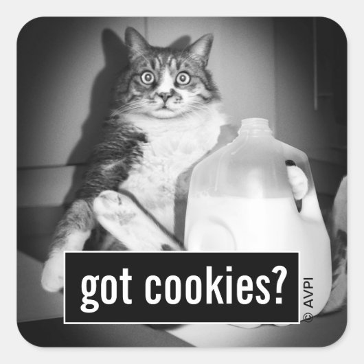 Kat Drink melk van Jug Vierkante Sticker (Voorkant)