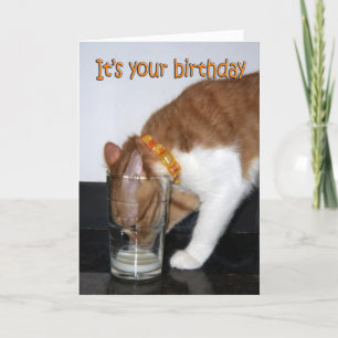 Kat Drink van Glass Happy Birthday Kaart