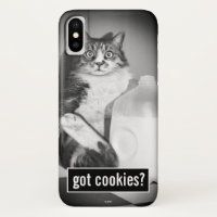 Kat drinkt melk uit kan