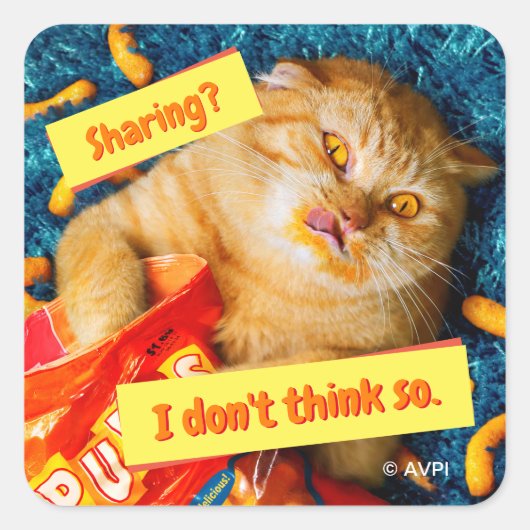 Kat Eating Cheese Puffs Vierkante Sticker (Voorkant)